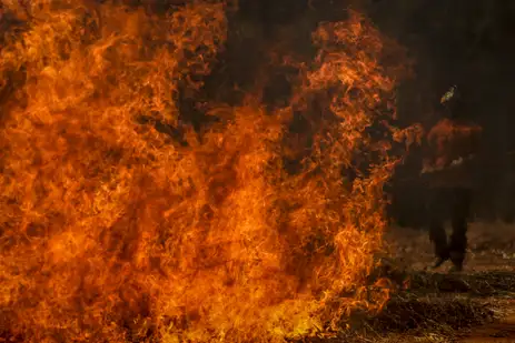 Marcelo Camargo/Agência Brasil Brasília (DF), 24/08/2024 - Brigadistas do Instituto Brasília Ambiental e Bombeiros do Distrito Federal combatem incêndio em área de cerrado próxima ao aeroporto de Brasília. Foto: Marcelo Camargo/Agência Brasil