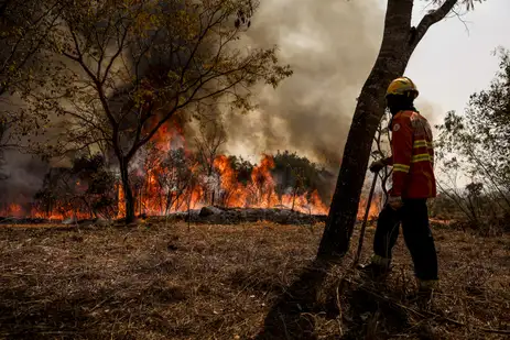 Marcelo Camargo/Agência Brasil Brasília (DF), 24/08/2024 - Brigadistas do Instituto Brasília Ambiental e Bombeiros do Distrito Federal combatem incêndio em área de cerrado próxima ao aeroporto de Brasília. Foto: Marcelo Camargo/Agência Brasil